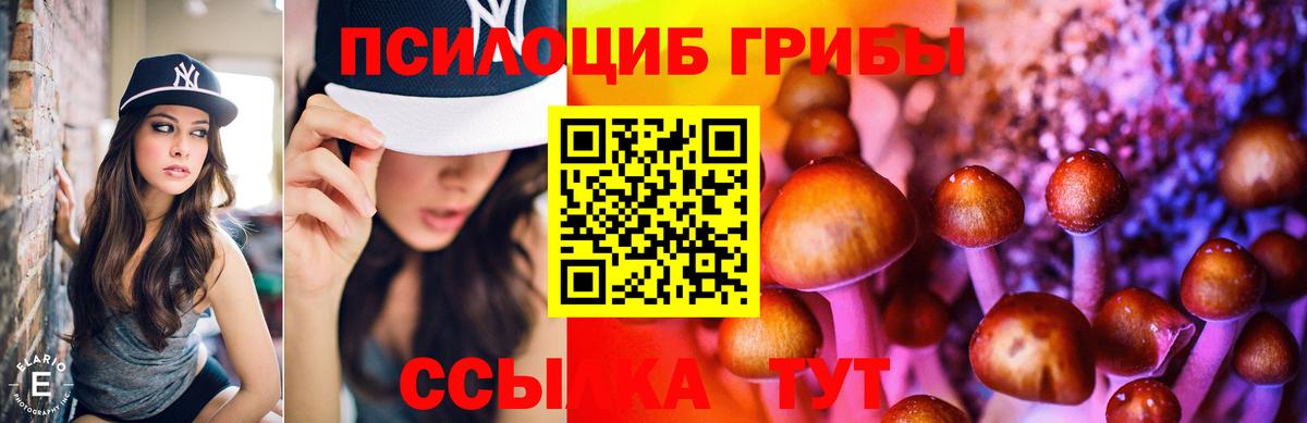 Галлюциногенные грибы Psilocybe  Вход с VPN  Нефтекумск 